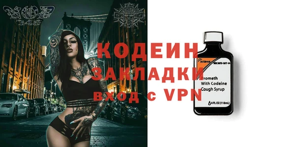 шишки Абаза