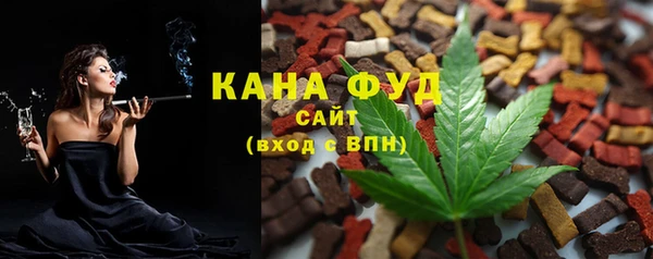 шишки Абаза