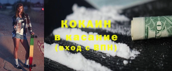 шишки Абаза