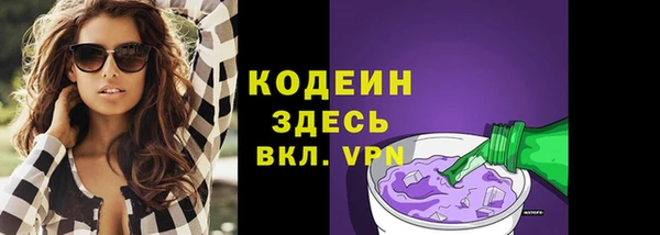шишки Абаза