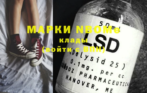 шишки Абаза
