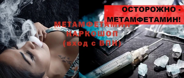 шишки Абаза