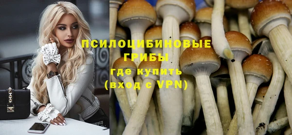 шишки Абаза