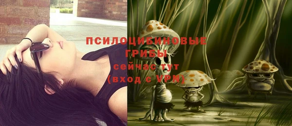 шишки Абаза