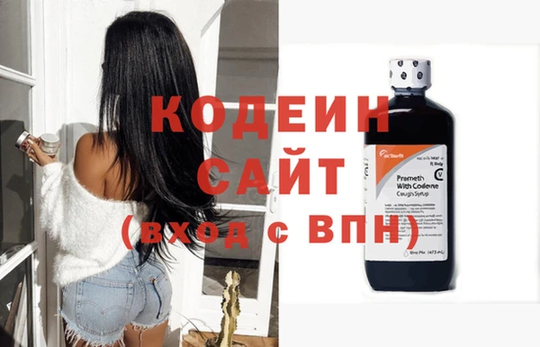 шишки Абаза