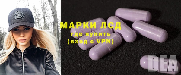 шишки Абаза