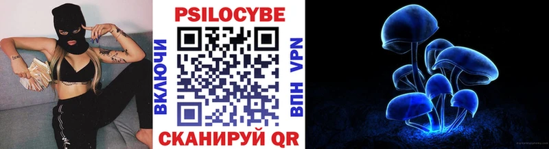 Псилоцибиновые грибы прущие грибы  Гагарин 